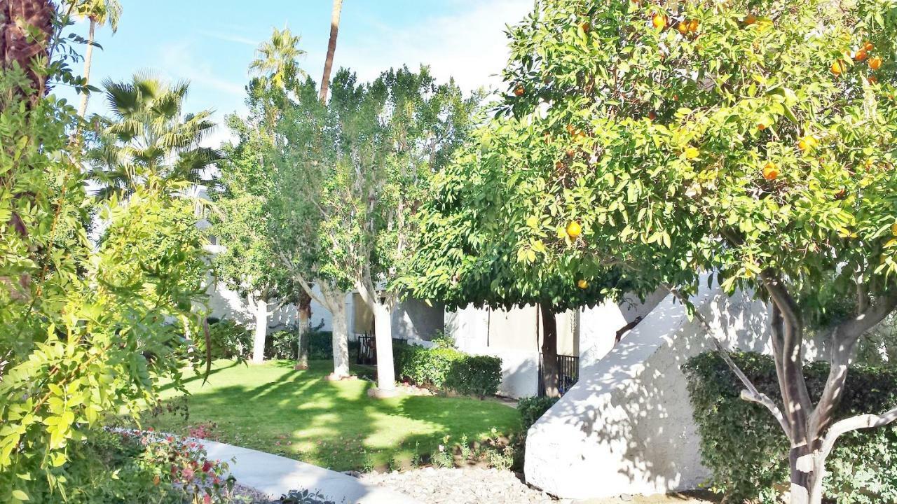 Palm Canyon Villas Palm Springs Kültér fotó